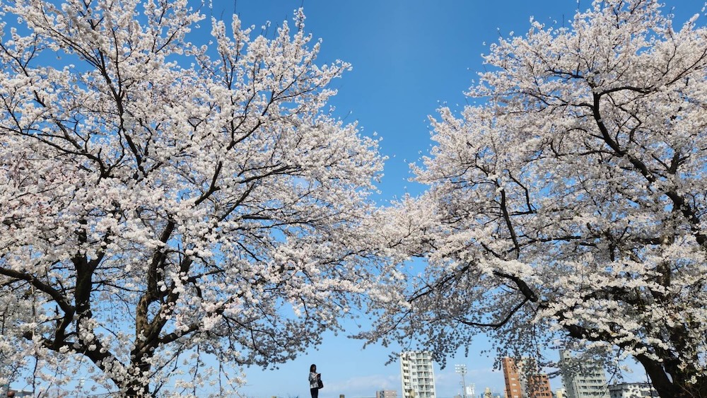 ギャラリー-画像09_SP