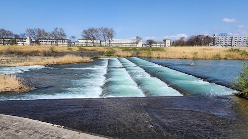 ギャラリー-画像10