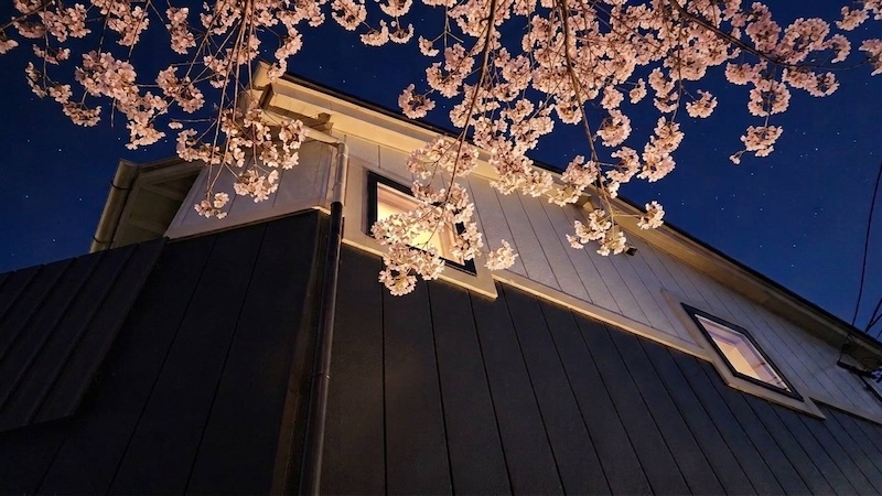 ギャラリー-画像11