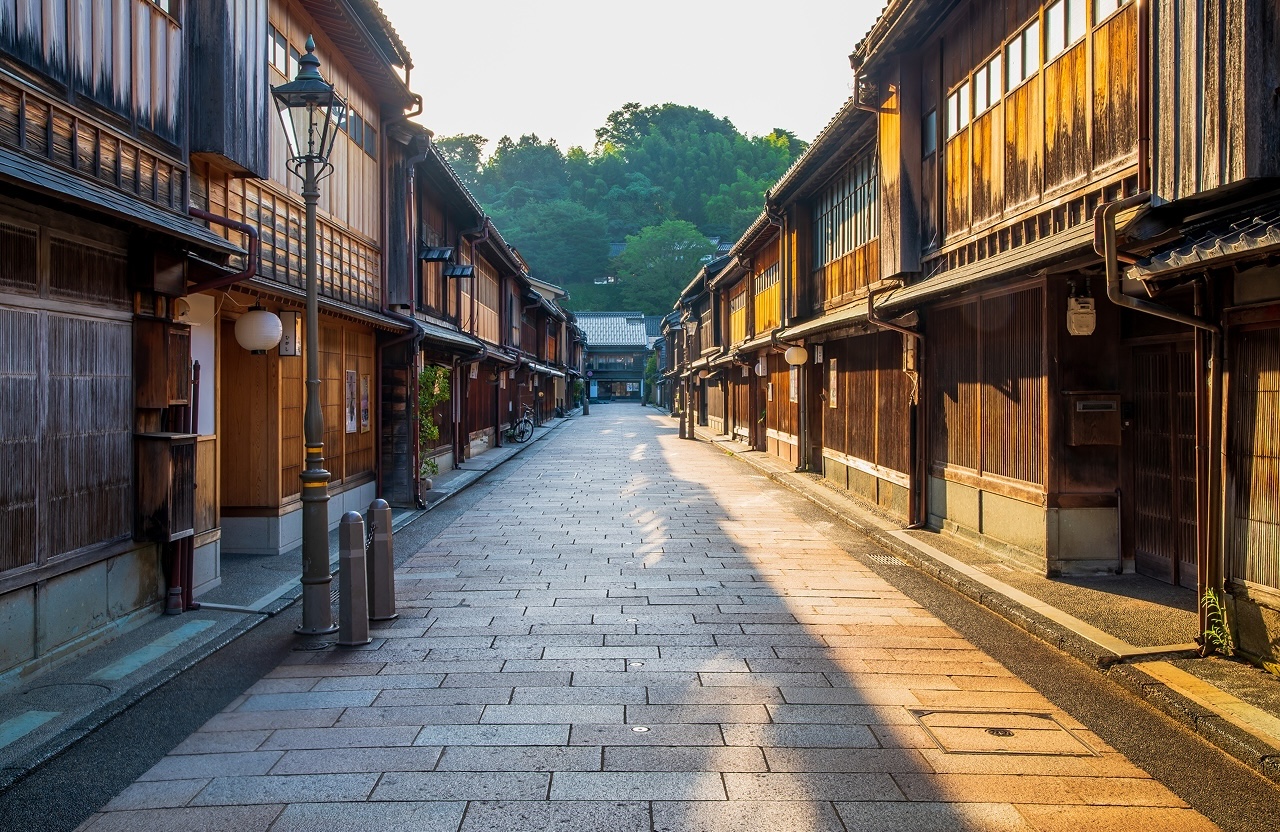 元菊-メイン画像01