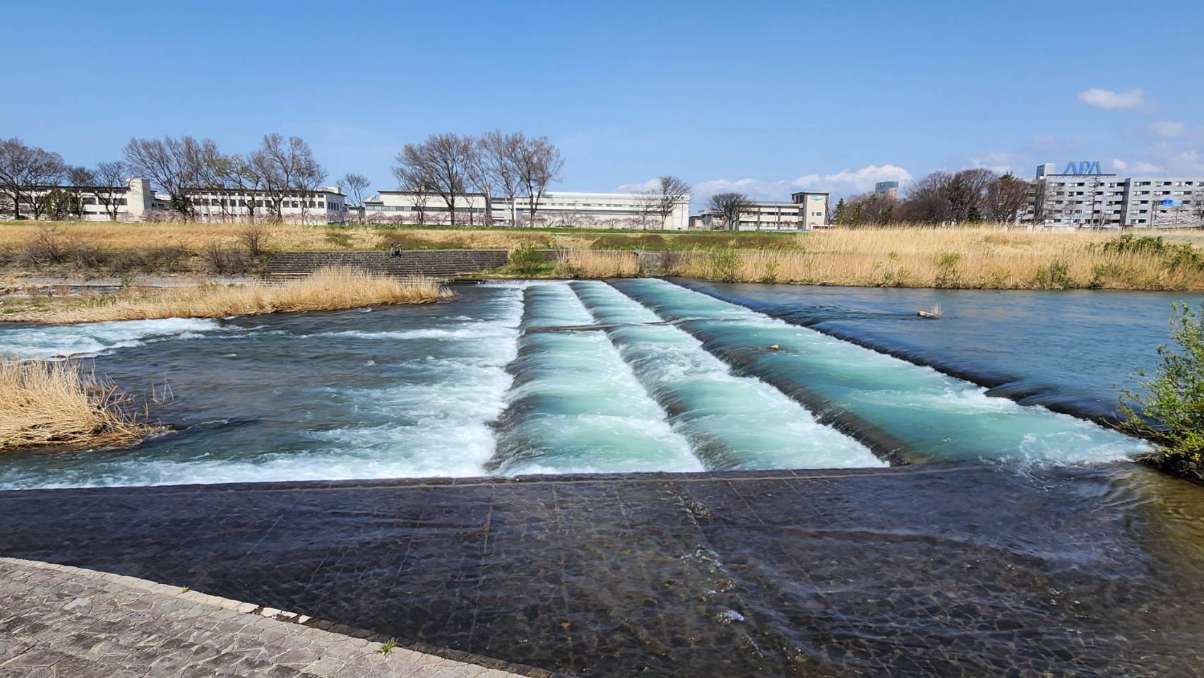 元菊-メイン画像07